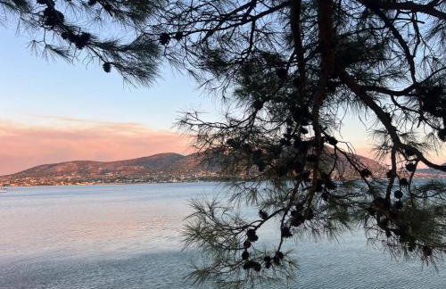 The White House - Aianteio - Foto 55