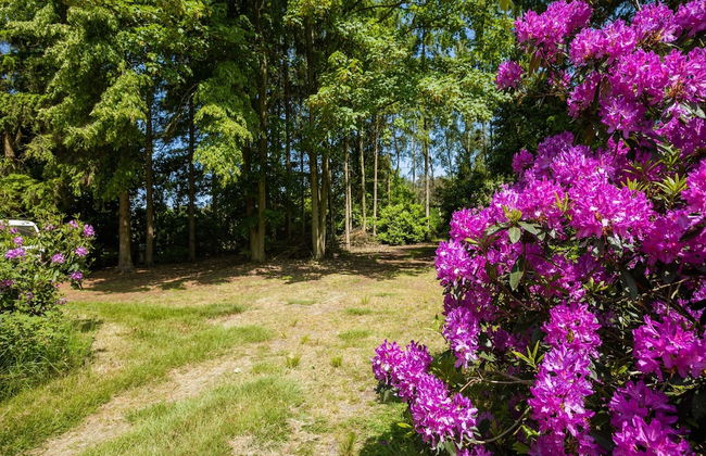 Lovely Chalet in Arendonk With Terrace - Foto 37