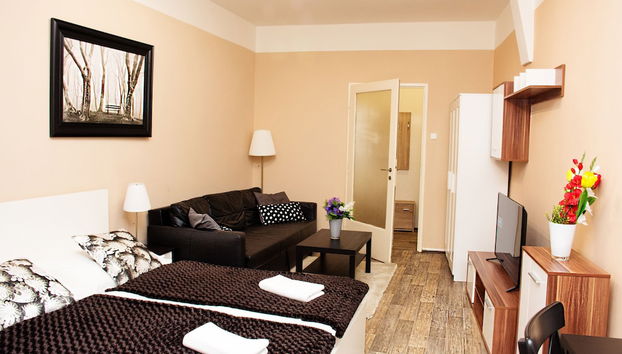 Wenceslas Square Apartment - Foto 3, Habitación