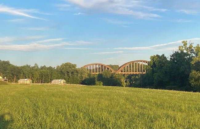 Circle T Mini Farms - Foto 21