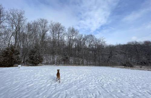 Gorgeous cabin 3bdrm/3bth, hot tub, fireplace, kid/pet friendly - Foto 49