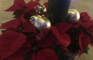 El Lagar de los Abuelos - Foto 50