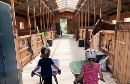 Ferienwohnung beim Pferdehof - Foto 10