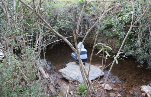 Agroturismo Xistos - Foto 43