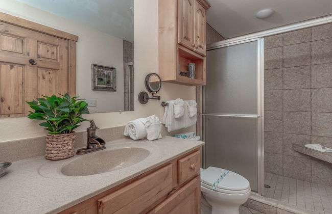 The Village At Indian Point Resort - Foto 44