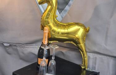 Lincoln Star Dome, Hot tub, BBQ - Foto 24