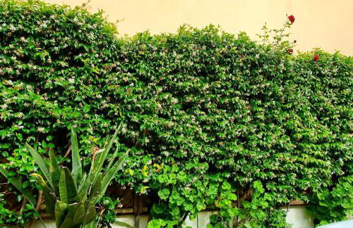 Daglas Summer House - Foto 15