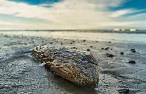 CICHAta Nad Zatoką - Foto 26