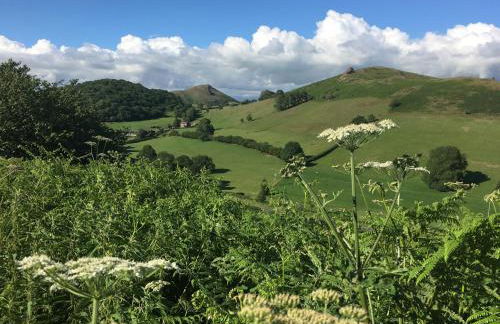 Birchwood House - Foto 12