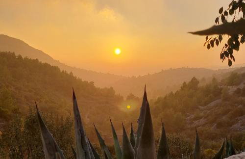 House Agava - Foto 18