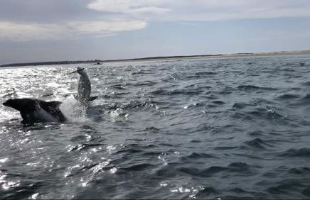 Appartement L'Embarcadère - Photo 72