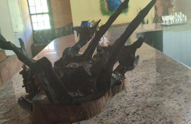 Casa Campo - Foto 31