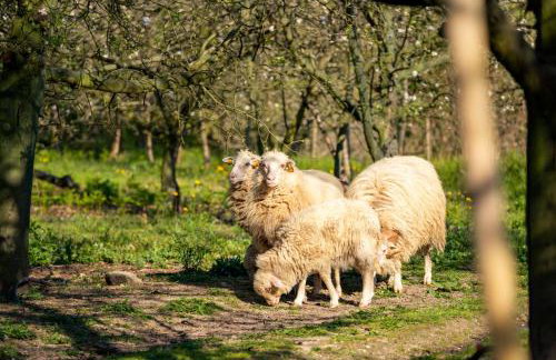 Casa da Eira "Lavoura da Bouça - Fruta Bio" - Foto 60