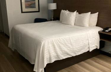 coconut trail - Foto 4