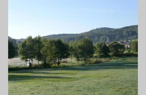 KOTA Finlandais bien être , les gîtes de l'étang - Foto 24