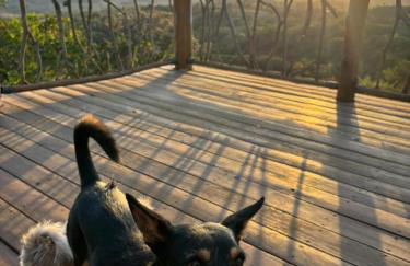 Eco Pousada Por do Sol - Foto 66