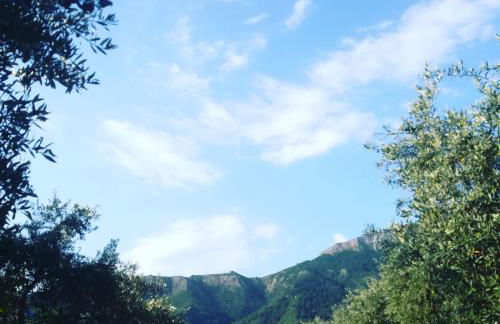 Lucia's Home - Foto 26