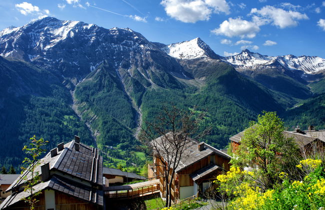 Etoiles d'Orion - Foto 10