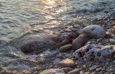 Traumblick Premantura - Photo 31