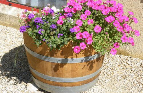 Le Domaine de Pecany - Foto 46