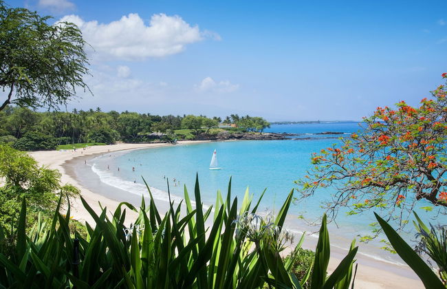 Mauna Kea Residences - Photo 1