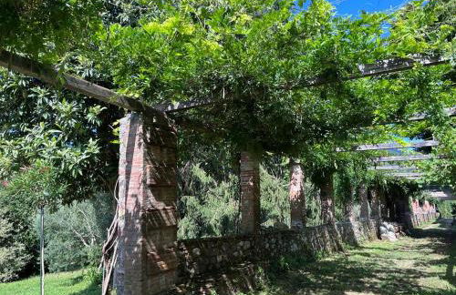 Podere il Giardino - Casale Rustico degli Ulivi con piscina e parco - Lucca - Foto 29