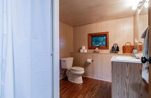 Dog Friendly Leech Lake Home w Perfect Beach Garage Boat Lift - Foto 61