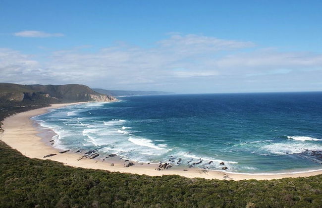 Moon Shine on Whiskey Creek - Foto 58