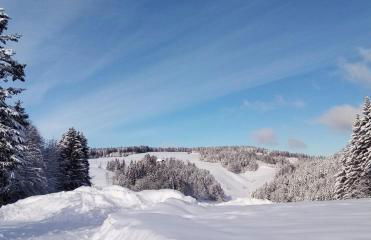 Schreinerhäusle nähe Titisee - Foto 13