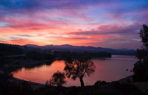 GOUGOUSIS apartments - Foto 15