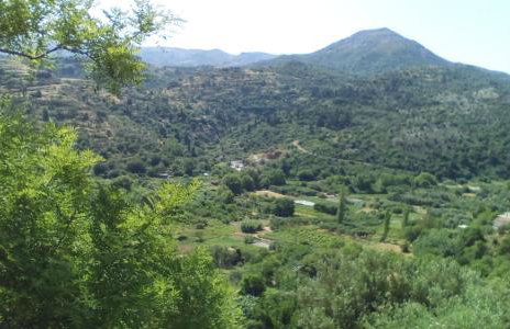 Kampos View Ikaria - Photo 57