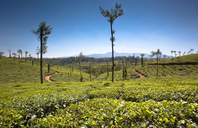 Ama Plantation Trails , Coorg - Foto 78