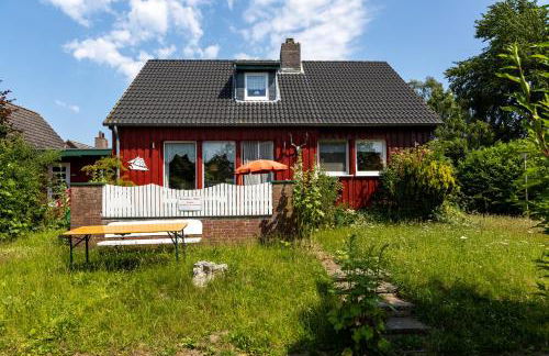 Huus Stokendörp für 2 Hunde - Foto 34