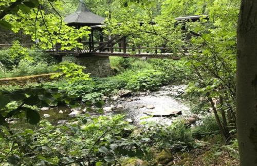 holiday home in the Franconian Forest - Foto 34