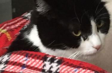 Stazzu Giasti Agriturismo - Photo 21