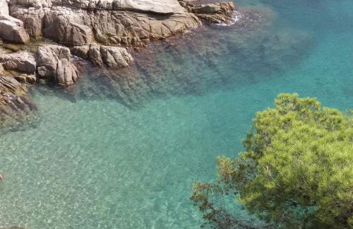 La Bastida de Calonge - Foto 31