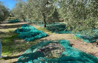 Casa Stefano - Photo 9