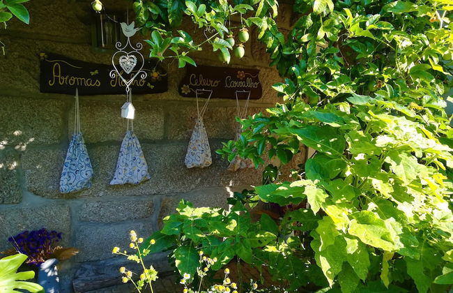 Casa das Palmeiras - Pedagogic Farm - Foto 127