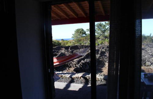 Adega Fraga - Photo 11