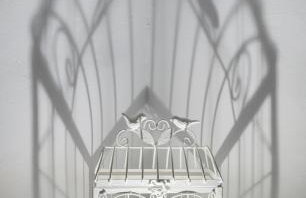 SempreViva - Foto 24