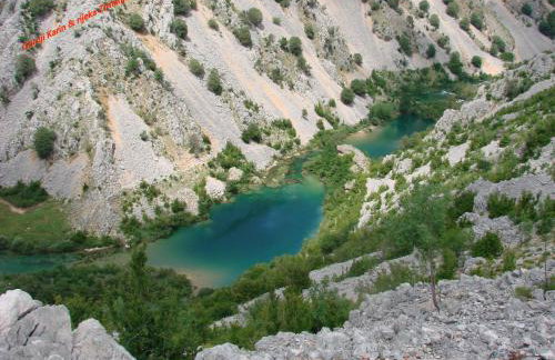 Studio Apartment Maslina - Photo 36