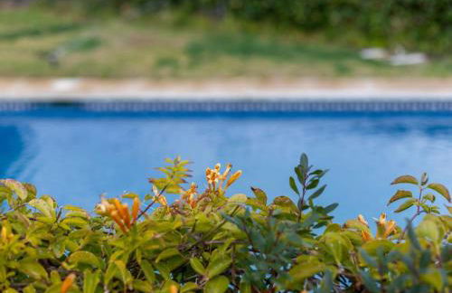 Alojamiento Rural Casa La Era - Foto 6