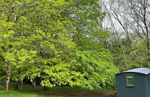 Cornwall Woodland Shepherd's Hut with Hot Tub - Deirdres Hut - Foto 23