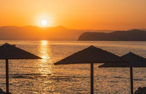 Corinna Mare - Foto 14