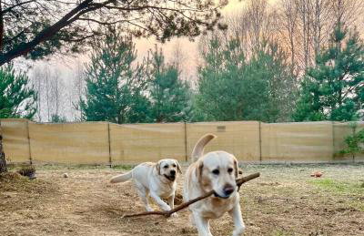 Przystanek Naglady Warmia- całoroczny, duża leśna działka - Foto 3