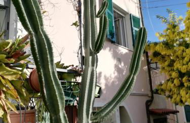 Monolocale con giardino e parcheggio privato CITRA zero zero ottanta trentuno LT 0281 - Photo 45