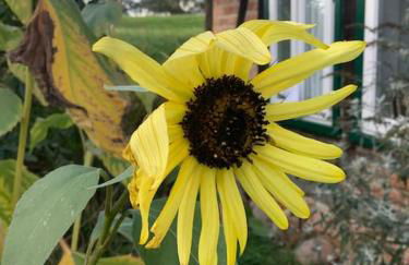 Haus an Fluss und See - Foto 16