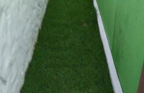 GREEN HOUSE - Foto 20