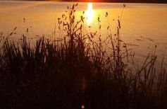 Ferienwohnung Wiesengrund, Ruhig im Ortsteil von Roth, nähe Rothsee, 25 min Messe Nbg - Foto 13