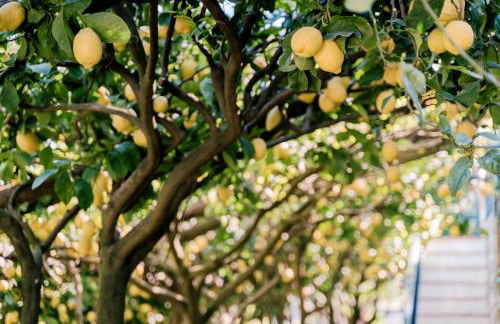 Villa San Lorenzo - Photo 56